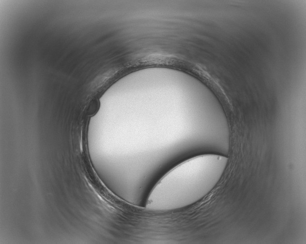 X0000060270062200510281046