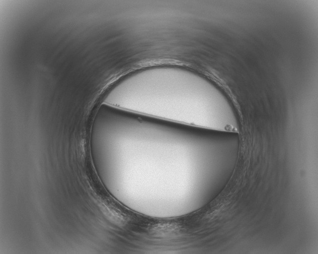 X0000060270063200510281046