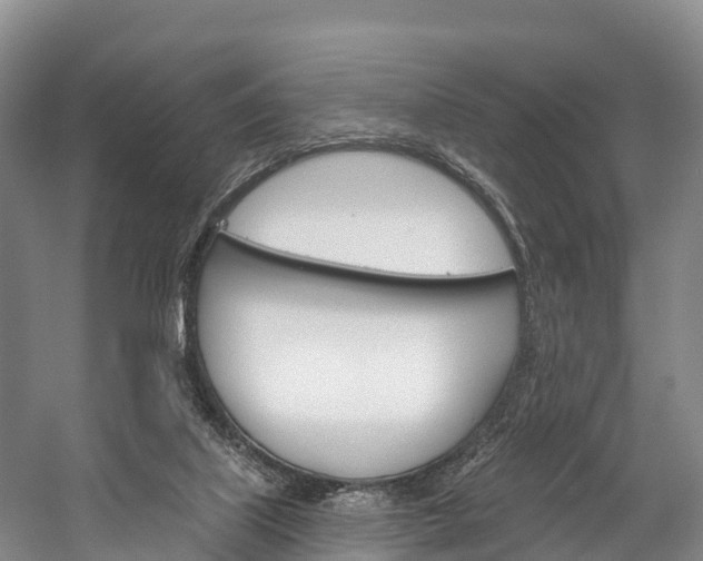 X0000060270067200510281046