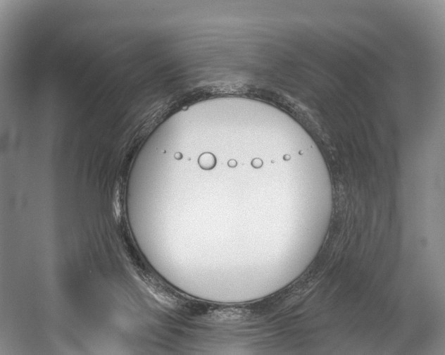 X0000060270069200510281046