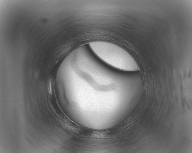 X0000060270076200510281046