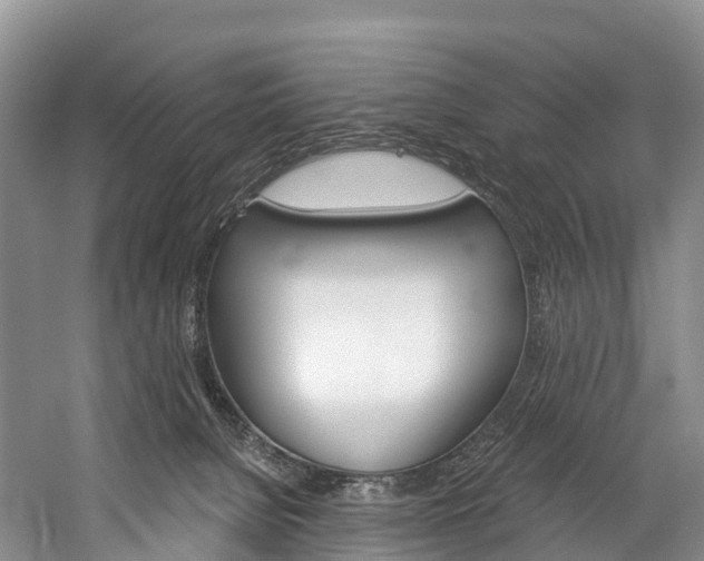 X0000060270080200510281046