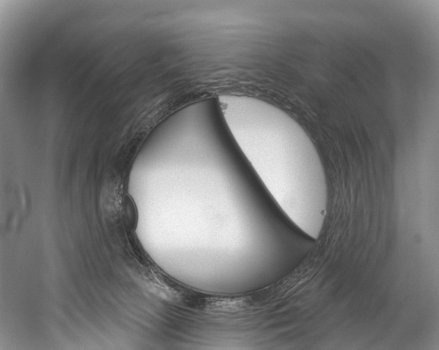 X0000060270081200510281046