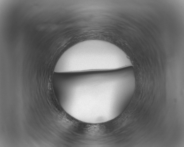 X0000060270083200510281046