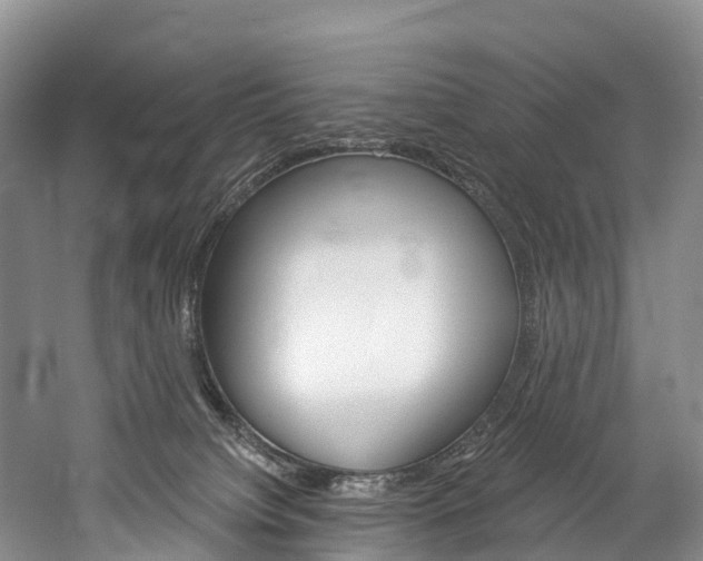 X0000060270084200510281046