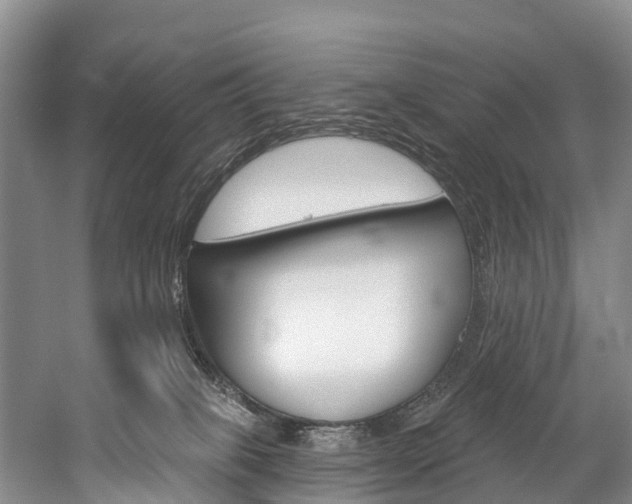 X0000060270085200510281046