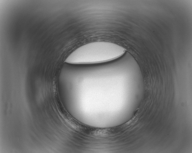 X0000060270086200510281046