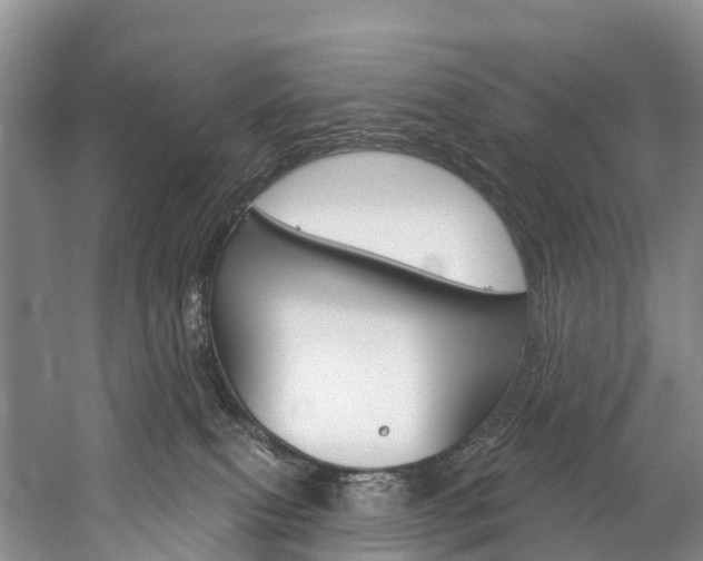 X0000060270087200510281046