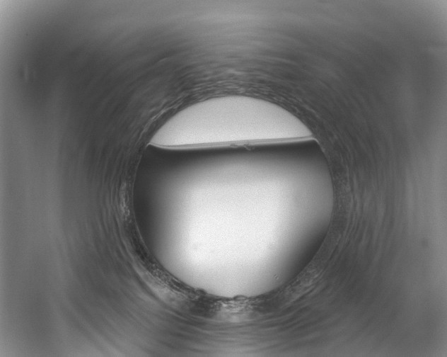 X0000060270088200510281046