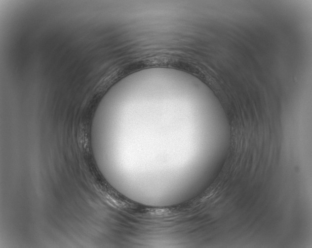 X0000060270091200510281046