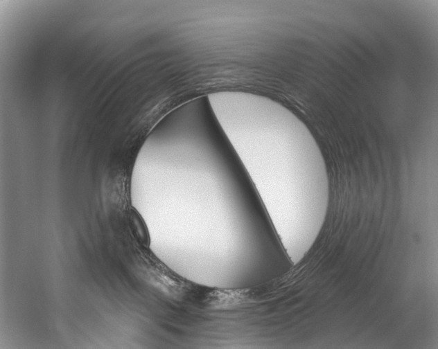 X0000060270093200510281046