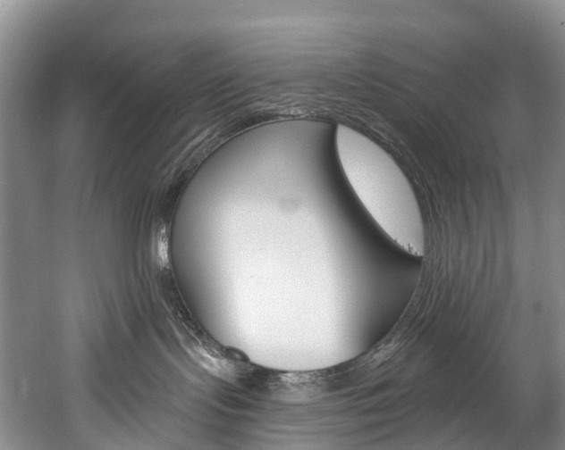 X0000060270095200510281046