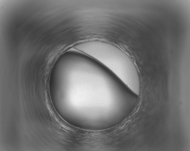 X0000060270097200510281045