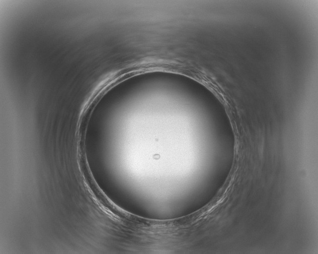X0000060270101200510281045