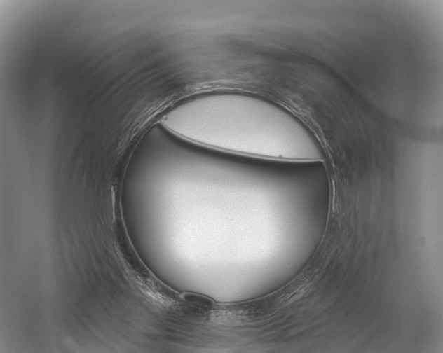 X0000060270109200510281045
