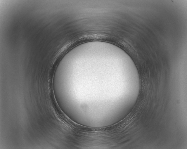 X0000060270111200510281045