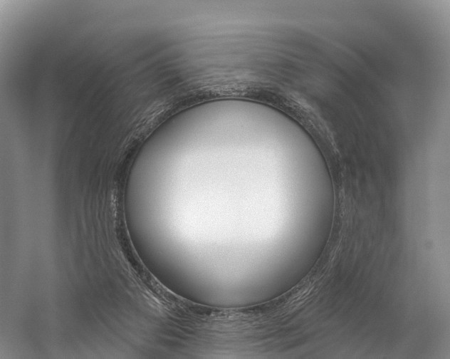 X0000060270113200510281045