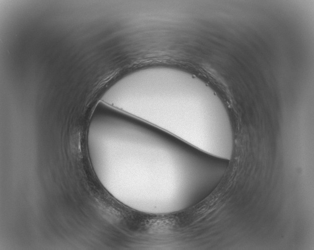 X0000060270115200510281045