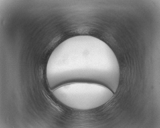 X0000060270120200510281045