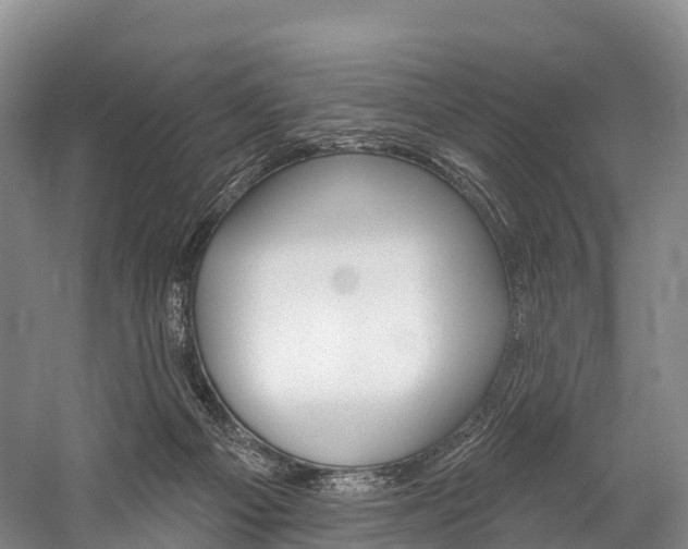 X0000060270121200510281045
