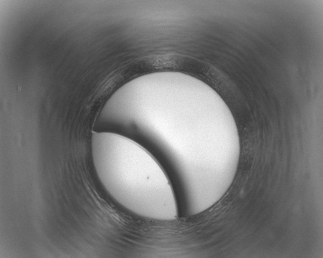 X0000060270124200510281045