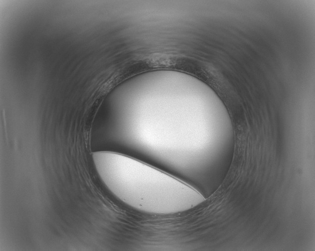 X0000060270125200510281045