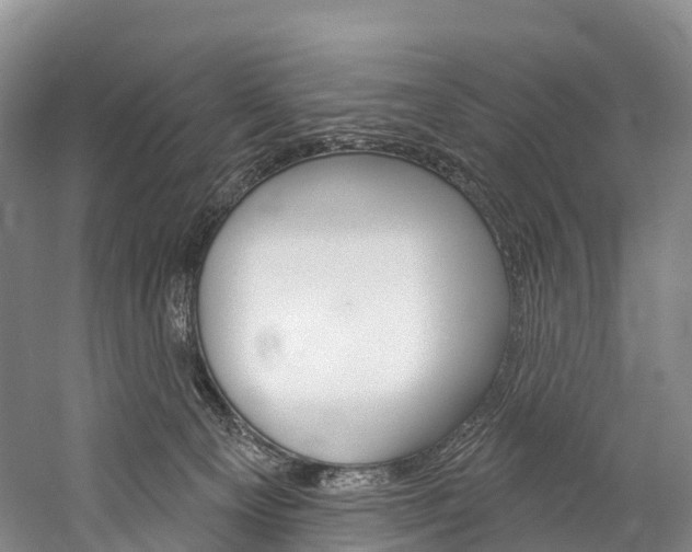 X0000060270129200510281045