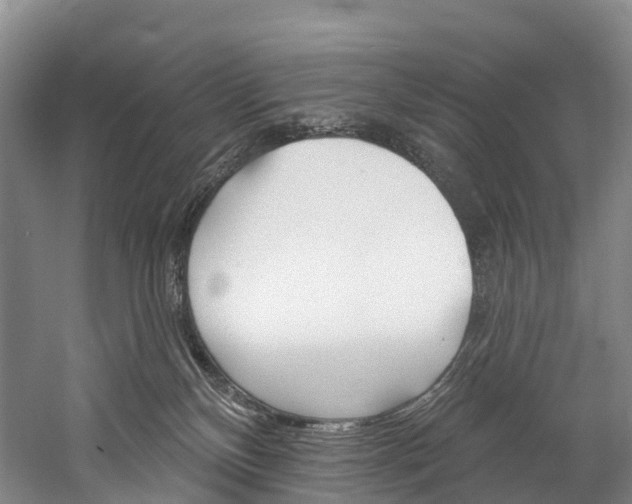 X0000060270136200510281045