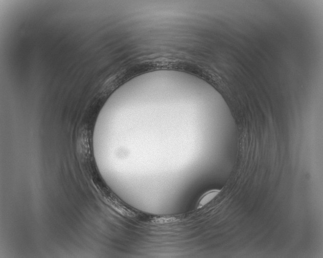 X0000060270137200510281045