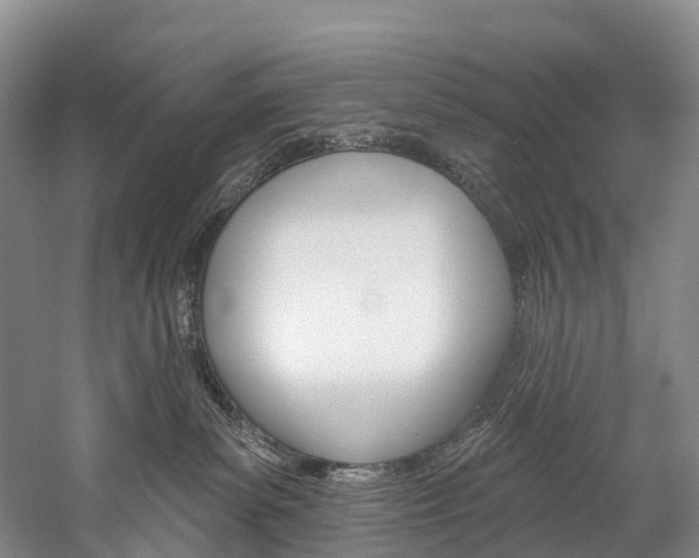 X0000060270139200510281045