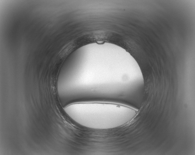 X0000060270140200510281045