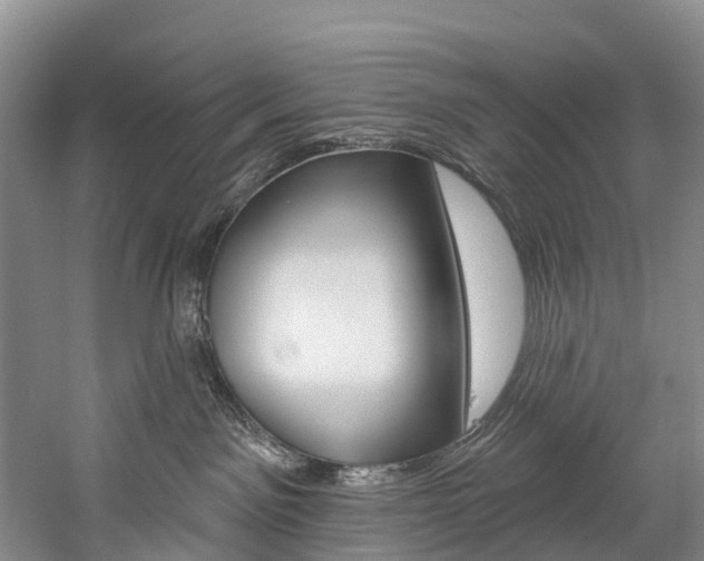 X0000060270141200510281045