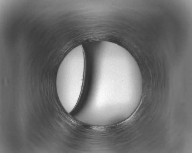 X0000060270144200510281045