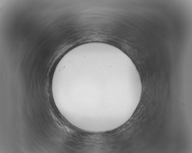 X0000060270146200510281044