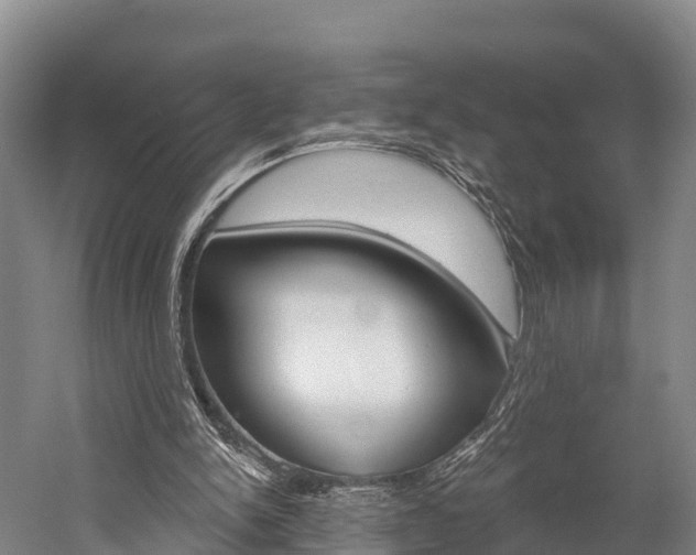 X0000060270150200510281044