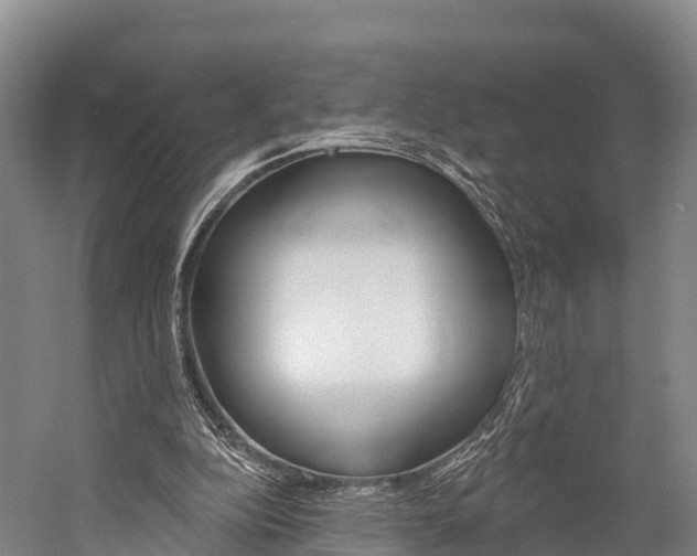 X0000060270152200510281044