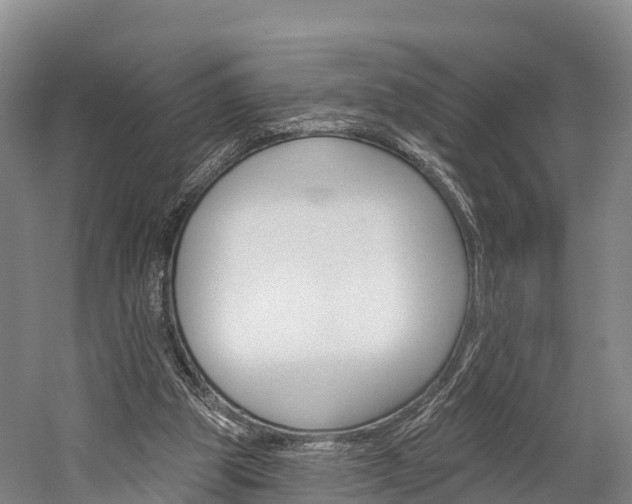 X0000060270153200510281044