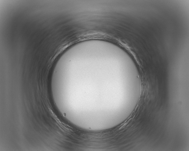 X0000060270154200510281044