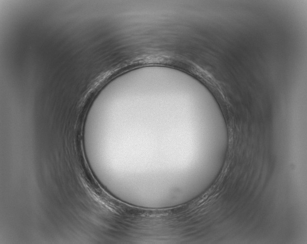 X0000060270155200510281044