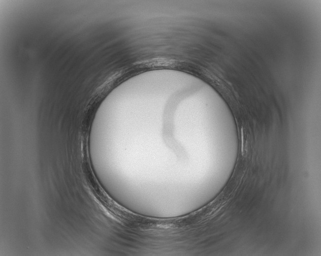 X0000060270157200510281044