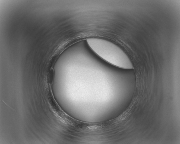 X0000060270158200510281044