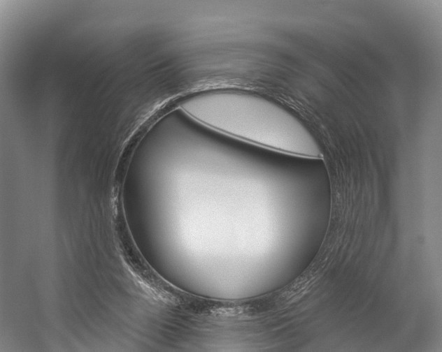 X0000060270160200510281044