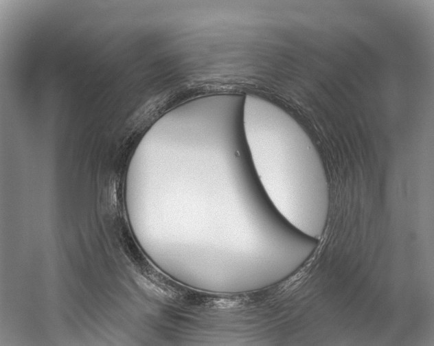 X0000060270166200510281044