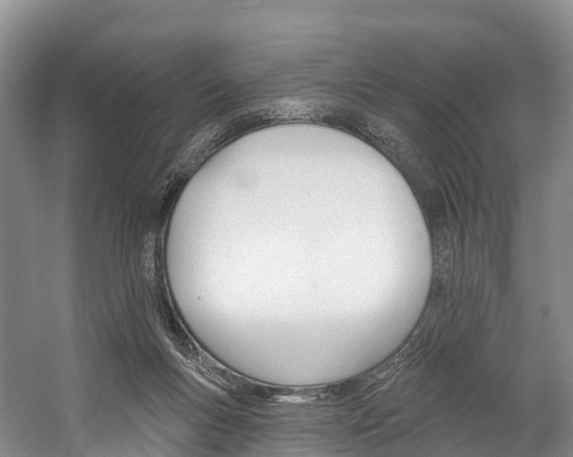 X0000060270167200510281044