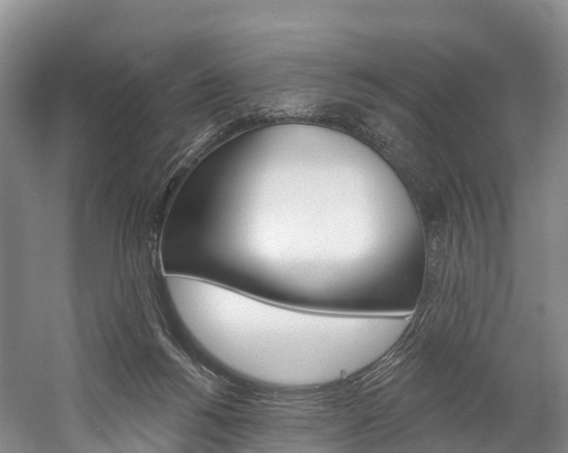 X0000060270168200510281044