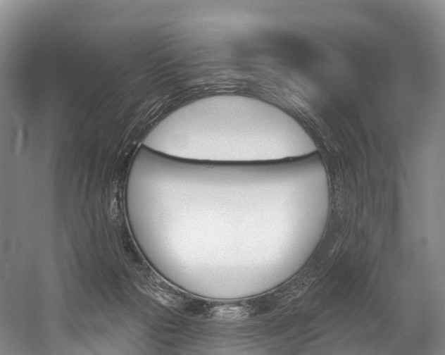 X0000060270169200510281044