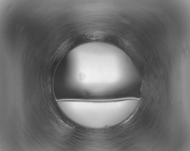 X0000060270170200510281044
