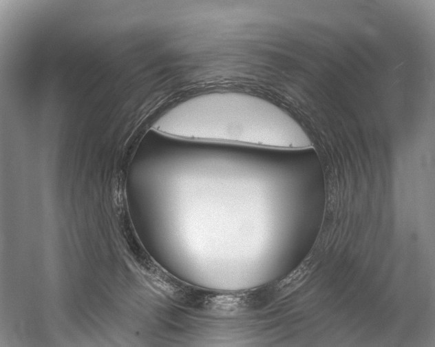 X0000060270176200510281044
