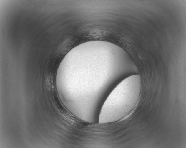 X0000060270182200510281044