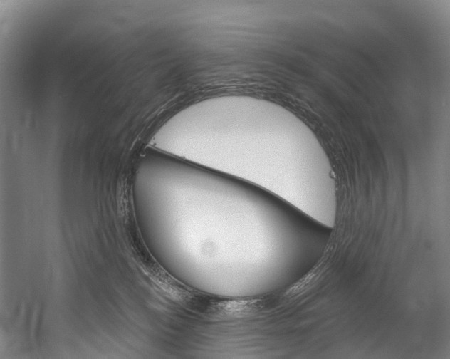 X0000060270184200510281044